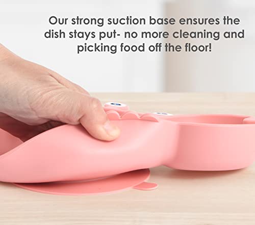 ROCCED Suction Plates for Baby Toddler Set