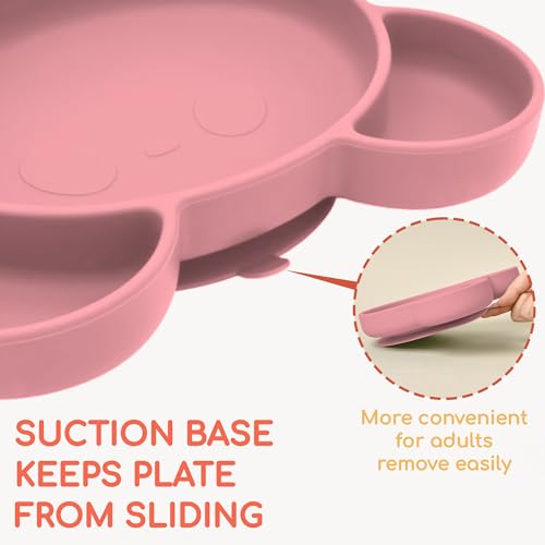 Chippi Co Suction Plate Bear Design for Baby 6 Months