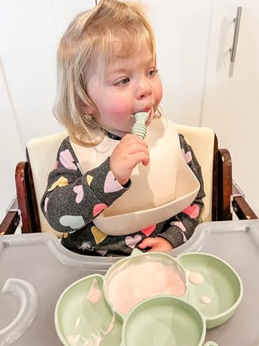 PandaEar 2 Pack Silicone Baby Plates with Spoons