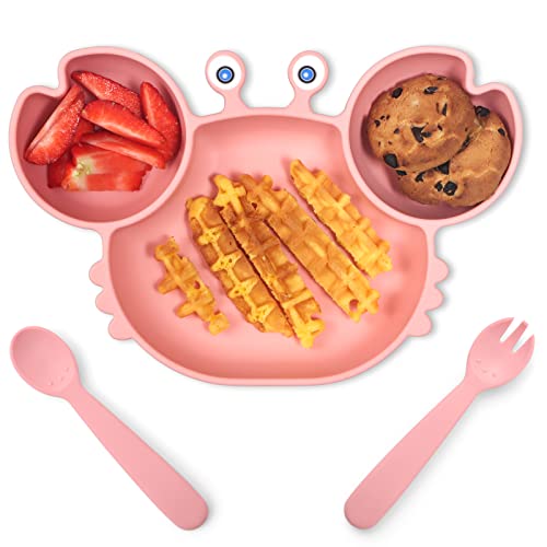 ROCCED Suction Plates for Baby Toddler Set