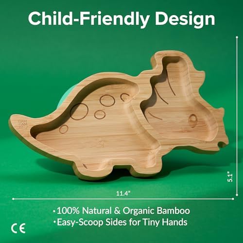 Bamboo Divided Suction Plates for Baby - Dinosaur 1