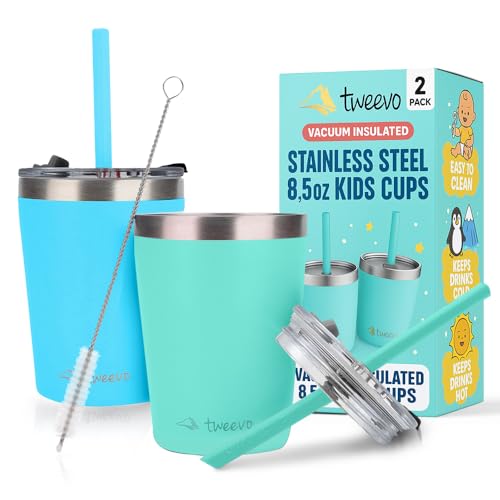 Tweevo Toddler Sippy Cups 2 Pack - Stainless Steel with Straws and Screw Lids