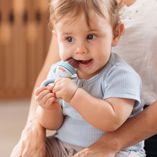 Nuby Babys First Food Feeder 2 Pack Aqua Blue