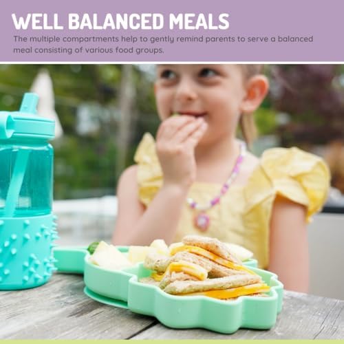 Melii Divided Silicone Suction Plate for Babies - Dinosaur 100 BPA Free