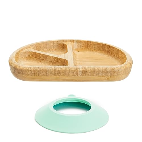 Munchkin Bambou Divided Suction Plate for Babies and Toddlers 1