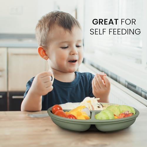 Cutebe 3 Pack Suction Baby Plates with Divided Design