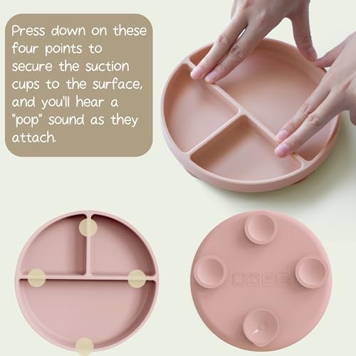 Moonkie Suction Plates for Baby 3 Pack