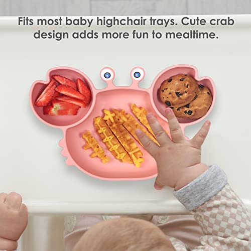 ROCCED Suction Plates for Baby Toddler Set