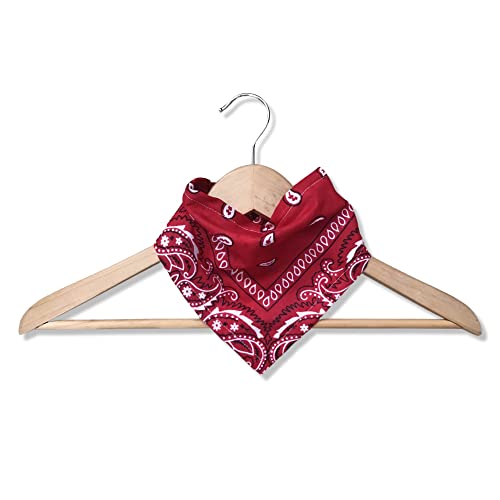Red Bandana Bib For Baby With Flannel Lining