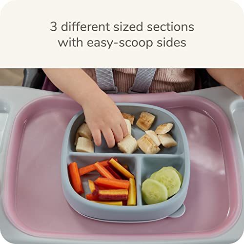NUK Nature Suction Plate and Lid BPA-Free Leak-Proof Dishwasher Safe 1