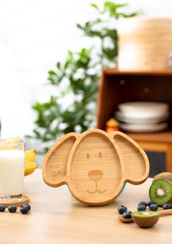 Xboo Toddler Bamboo Suction Plates BPA Free