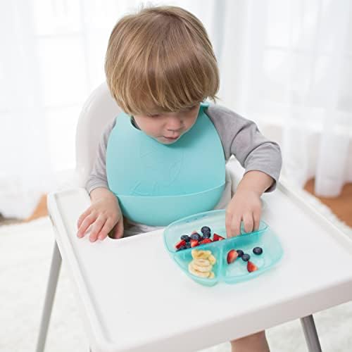 Dr Browns Divided Plate Set for Baby and Toddler 4m