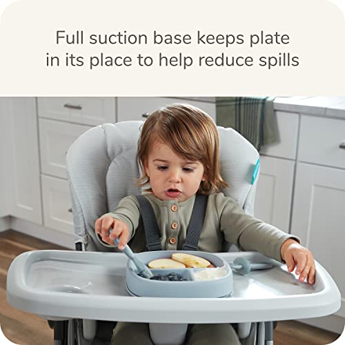 NUK Nature Suction Plate and Lid BPA-Free Leak-Proof Dishwasher Safe 1