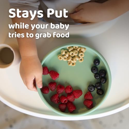 APLAINR Blue Hour Weighted Silicone Toddler Plate