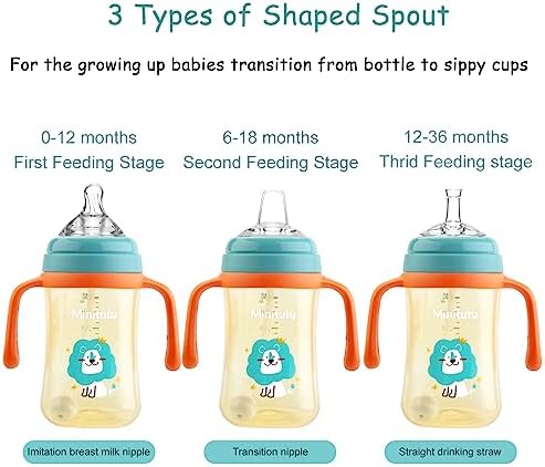 Nohlerlife Sippy Cup for Baby 6 Leak Proof 240ml BPA Free Green