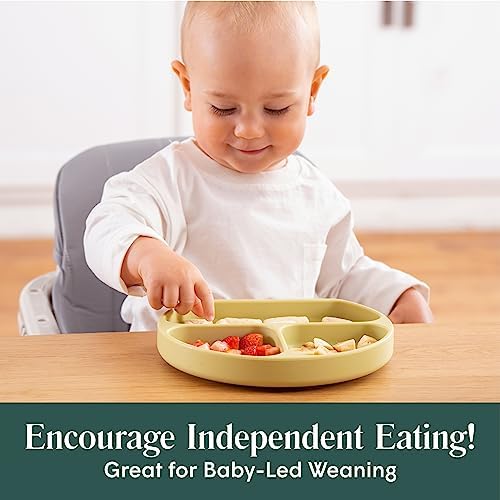 Simka Rose BPA Free Silicone Baby Plates for Self Feeding