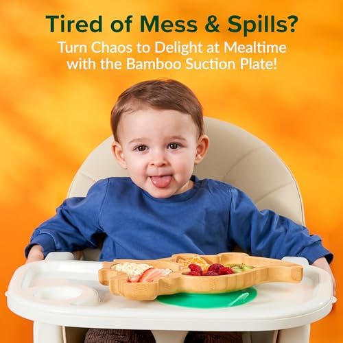 Bamboo Divided Suction Plates for Baby - Dinosaur 1