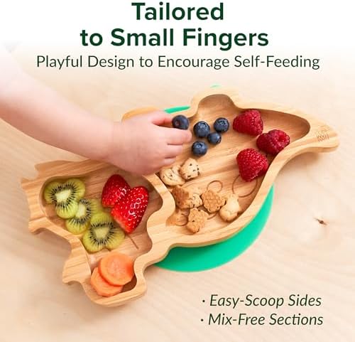 Bamboo Divided Suction Plates for Baby - Dinosaur 1