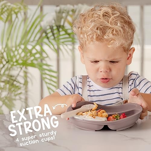 ChriKid Suction Plates for Baby and Toddlers 1
