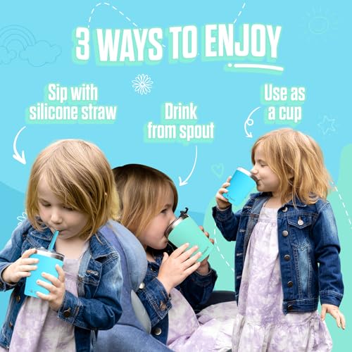 Tweevo Toddler Sippy Cups 2 Pack - Stainless Steel with Straws and Screw Lids