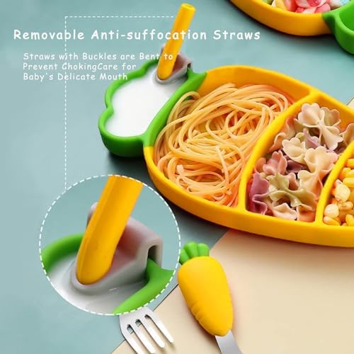Suction Plates for Babies Toddlers BPA Free Microwave Safe Cute Carrot Design