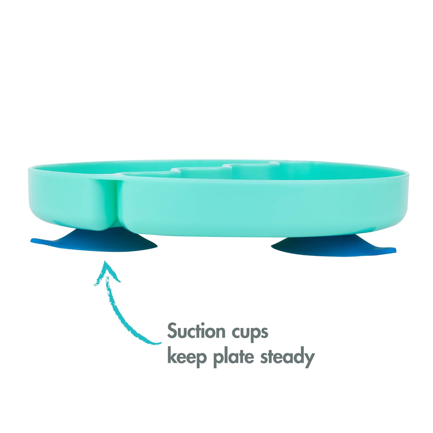 The First Years Baby Shark Divided Suction Plate - 12 Months Up